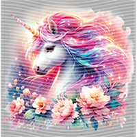 Rainbow Horse-RH 104